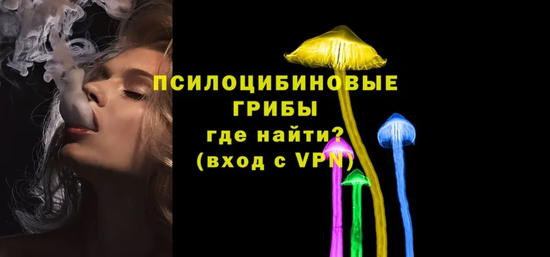 Галлюциногенные грибы Psilocybe  Болотное 